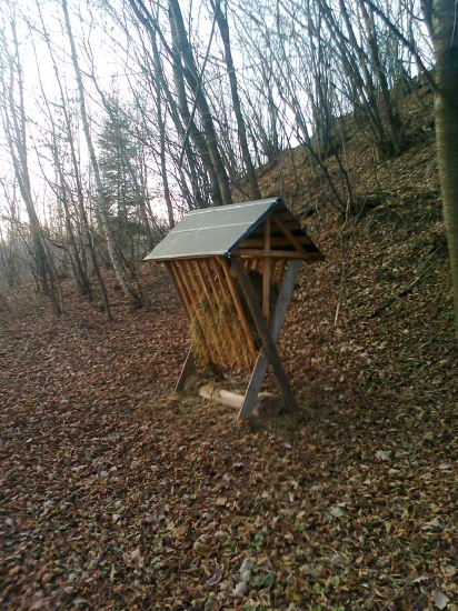 Krmelec na seno v jeseni