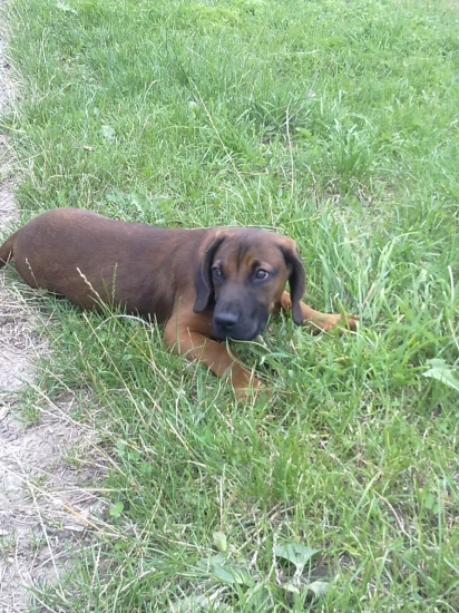 Aký som bol malý ,Cit Hrochotská dolina 4 mesiace