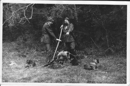 Tak čo,pekného som ulovil?