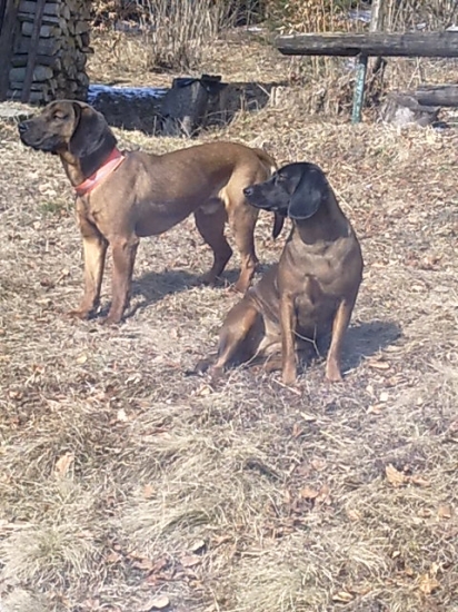 Cit Hrochotská dolina a Axa Hrochotská dolina.