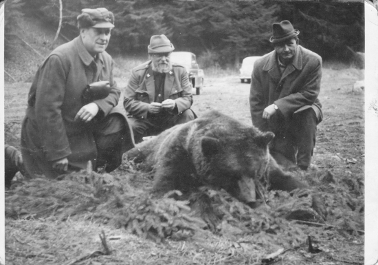 Medveď spod Veľkého boku.