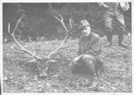 Dvanástorák z Malužinej