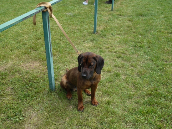 Cit Hrochotská dolina