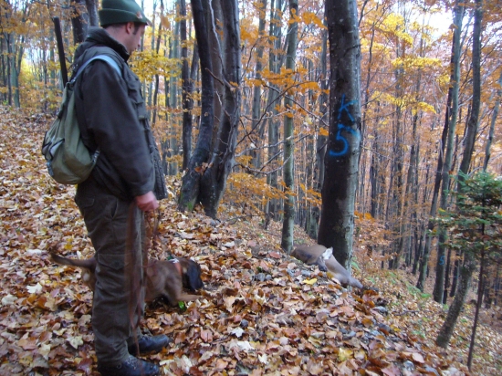 Zahlás jelienka:-))