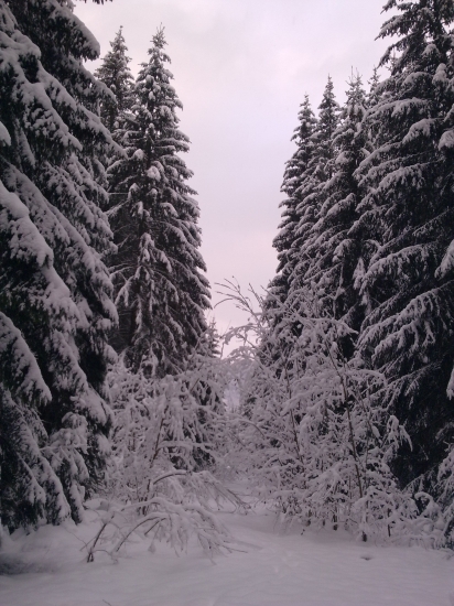 Perinbabka nám to takto krásne vymaľovala :-)