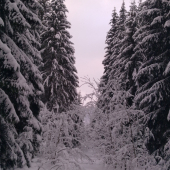 Perinbabka nám to takto krásne vymaľovala :-)