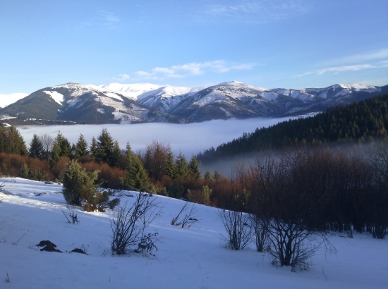 Januárová inverzia