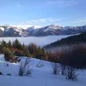 Januárová inverzia