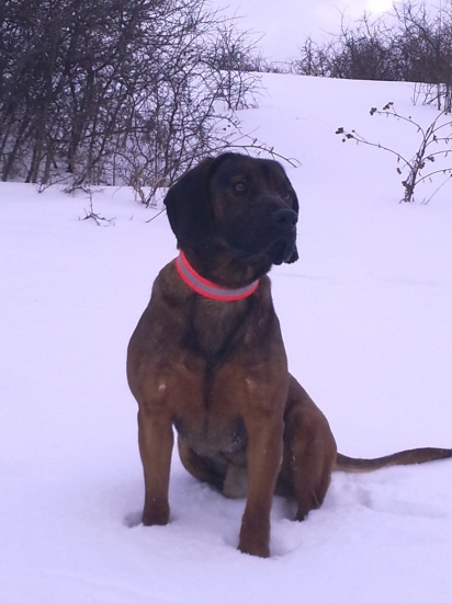 Dnes mám dva roky :-)