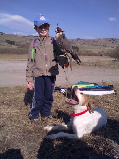 Nádejný sokoliar :-))