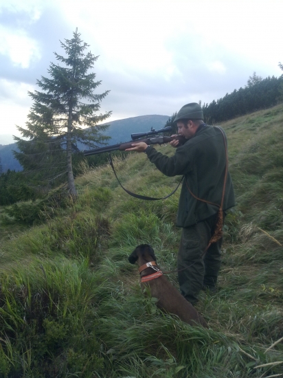 Čo to tam ide?,žeby jelienok? :-)))