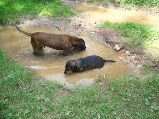 Bahenný kúpeľ :-)