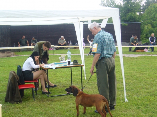 FINA Vatrová V1,CAC