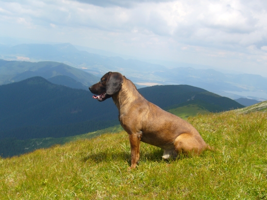 Ale je tu krásne :-)