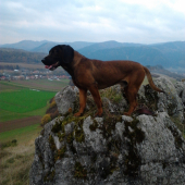 Horolezec Cit :-)