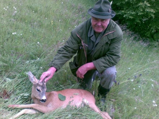 svokrova abnormalitka