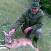 svokrova abnormalitka