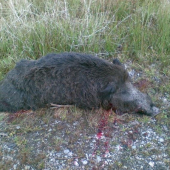 kamarátov na spoločnej....