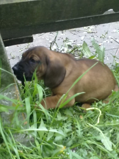 Ked som bol ešte malý...