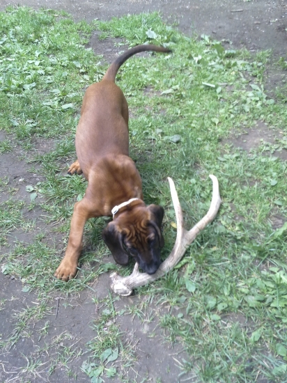 Už rastiem a som šikovnejší.