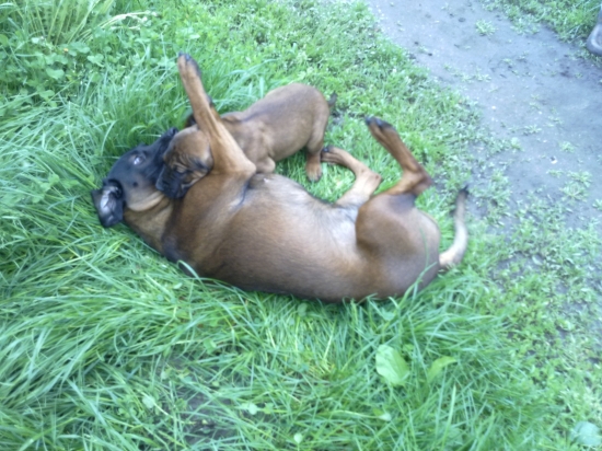 Cit so staršou sestrou Axou