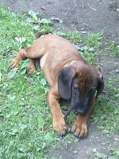 Cit Hrochotská dolina,3,5mesiaca