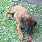 Cit Hrochotská dolina,3,5mesiaca