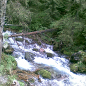 tatranský potôčik...