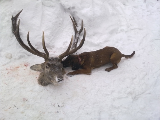 Čo mu tak asi šepká do uška?