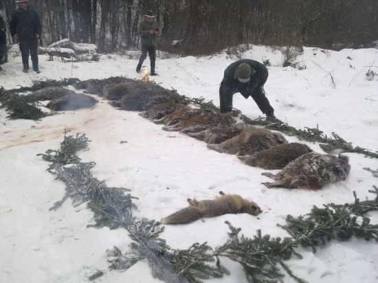 Výrad druhej úspešnej spoločnej poľovačky