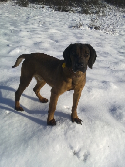 Cit z Hrochotskej doliny