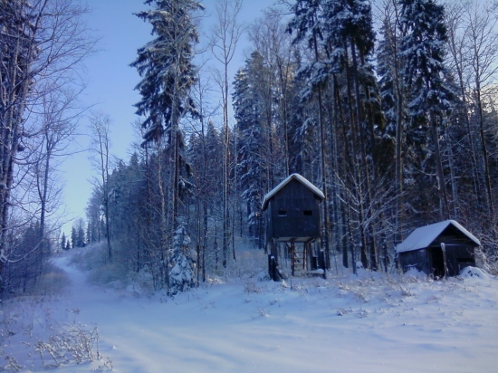 posed na medveďa a prístrešok