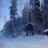 posed na medveďa a prístrešok