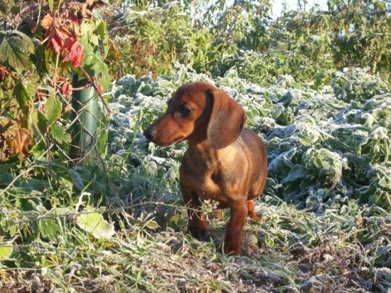 Paris na rannej prechádzke