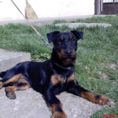 nasa sampionka Hexa Deberca