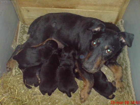nasa Cora Deberca s mladymi