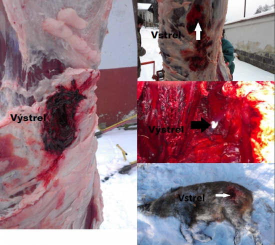 Sako Hammerhead 13g   308Win.