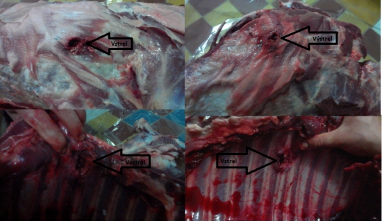 Sako Superhammerhead  180gr.  308Win.