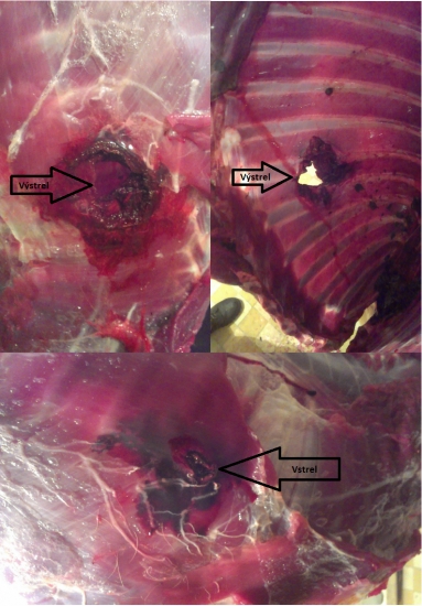 Sako SuperHammerhead 11,7 g  308Win.