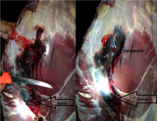 Norma Vulkan 11,7g   308Win.
