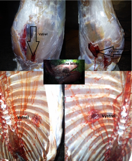 Norma Vulkan 11,7g   308Win.