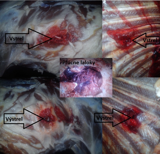 RWS KS 10,7g 308Win.