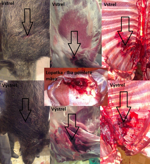 Sako Hammerhead 11,7g 308 Win.