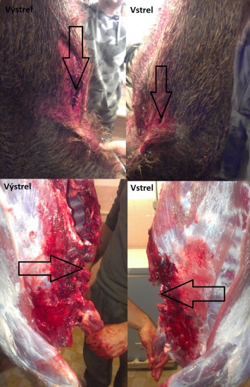 Sako Hammerhead 11,7g 308 Win.