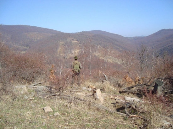 Spomienka na začiatok jari