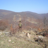 Spomienka na začiatok jari