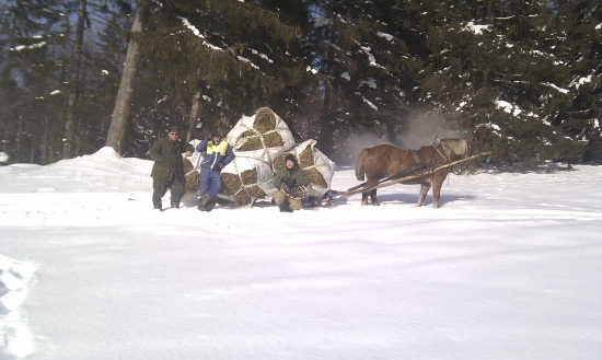 Ked je technika bezvladna