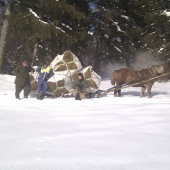 Ked je technika bezvladna