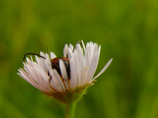 Poprosim nerušiť!!!