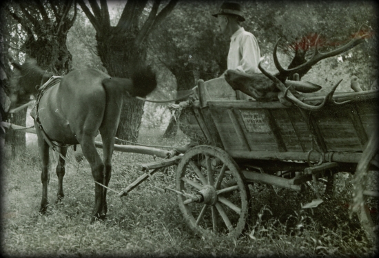 Dunajská klasika...